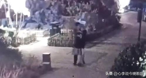 吃瓜抓紧完整视频,吃瓜群众速看！完整视频揭秘事件真相