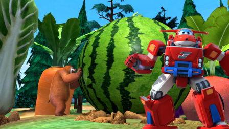 绵绵熊吃瓜,绵绵熊的瓜田奇遇记