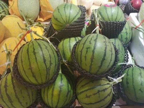 氮气吃瓜,氮气催化下瓜类植物生长的神奇现象探究