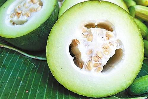 氮气吃瓜,氮气催化下瓜类植物生长的神奇现象探究