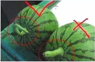 潮潮吃瓜,揭秘娱乐圈那些不为人知的幕后故事