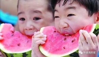 不吃瓜的吃货,不吃瓜的吃货之旅