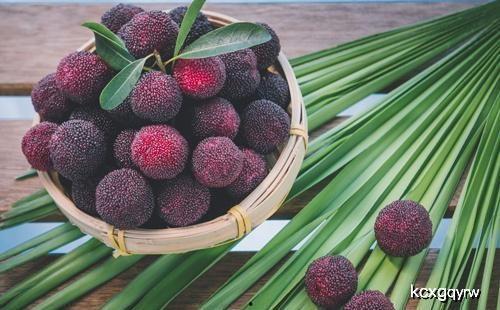 吃杨梅瓜过敏吗,吃杨梅瓜安全吗？