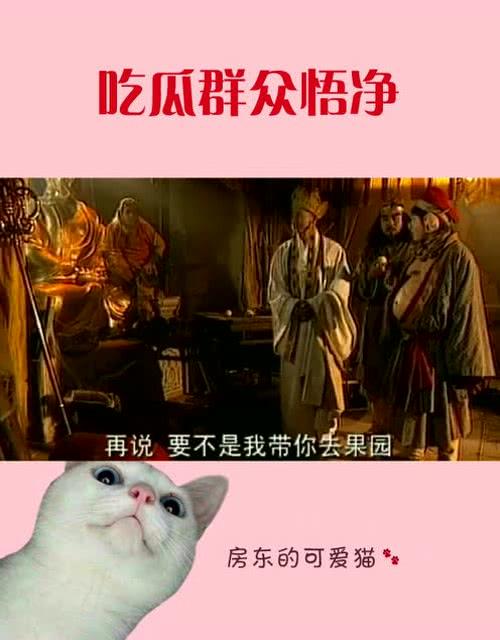 悟空吃瓜支线,揭秘取经路上的神秘瓜界风云