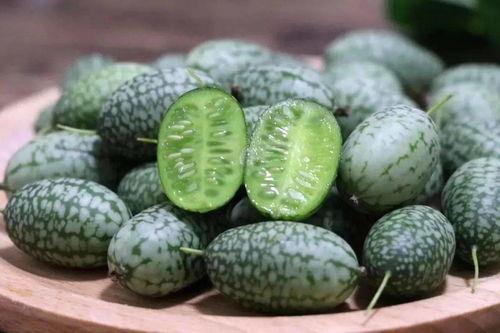 吃瓜群众瓜指的是什么瓜,网络流行语的趣味解读