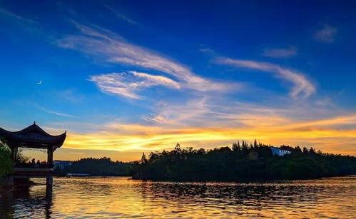 吃瓜回望江天,揭秘娱乐圈背后的故事