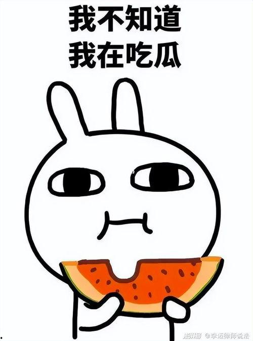 吃瓜大嘴自信哥