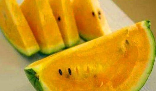 瓤瓜可以吃吗,揭秘其可食用之谜