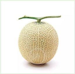 悠闲听戏吃瓜,悠闲听戏，悠然吃瓜