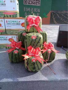 吃瓜群众称号灯,网络时代的旁观者与评论家