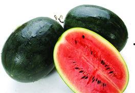 石黑英雄吃瓜,瓜田里的传奇英雄