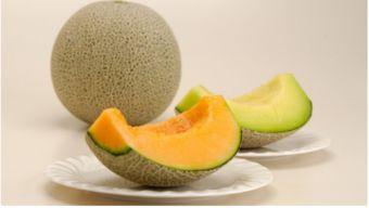 吃虾可以吃哈密瓜吗