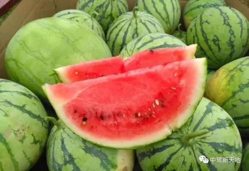 令日吃瓜,揭秘娱乐圈最新热点事件