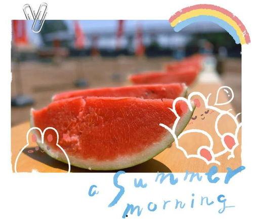 令日吃瓜,揭秘娱乐圈最新热点事件