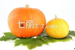 吃瓜补气吗,揭秘瓜类食物的补气功效