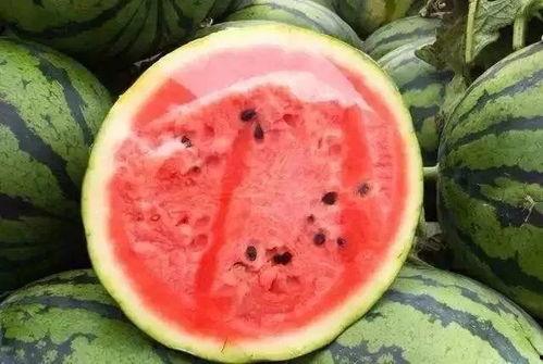 吃瓜网封了,揭秘网络舆论监管新动向”