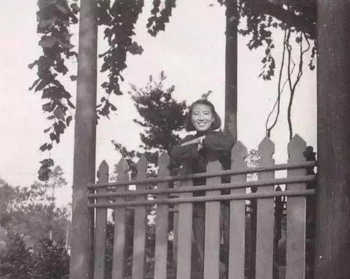 吃瓜事件女神小说