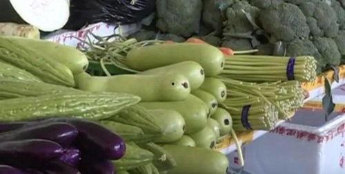 吃瓜技术人员,揭秘吃瓜技术人员的神秘世界