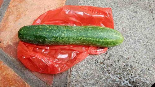 生瓜怎么吃啊,生瓜的多样食用方法探索