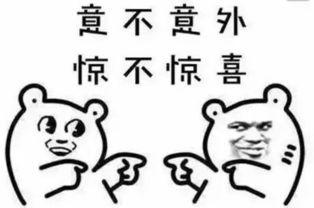 群众吃瓜的套路,揭秘群众吃瓜背后的趣味与真相