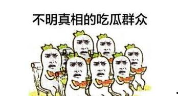 中华吃瓜群众,揭秘网络热议背后的众生相