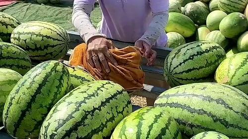 吃瓜是吃西瓜还是瓜子呢,吃瓜究竟是指西瓜还是瓜子？