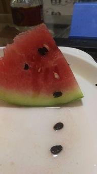 吃瓜是吃西瓜还是瓜子呢,吃瓜究竟是指西瓜还是瓜子？