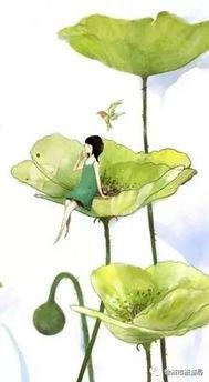 莲花吃瓜是谁,揭秘网络红人的崛起之路