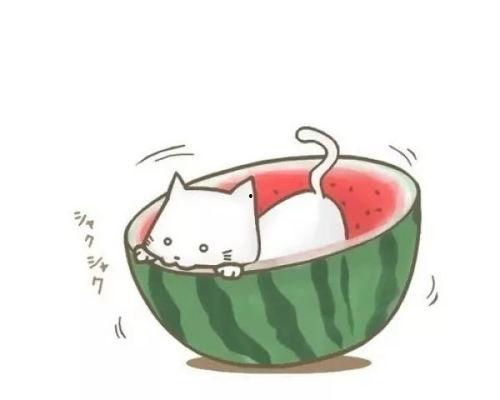 吃瓜狼推理馆垃圾,揭秘垃圾背后的秘密与智慧