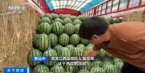 地球村吃瓜,全球热点事件一网打尽