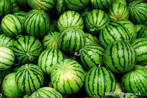 成都女子吃瓜,揭秘网络热议背后的真相