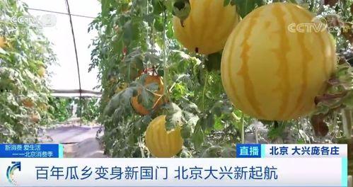 韩城抱娃吃瓜事件,公共道德与个人行为的边界探讨