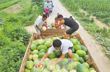 韩城抱娃吃瓜事件,公共道德与个人行为的边界探讨