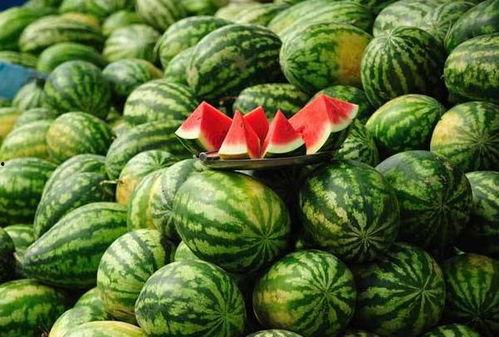 韩城抱娃吃瓜事件,公共道德与个人行为的边界探讨