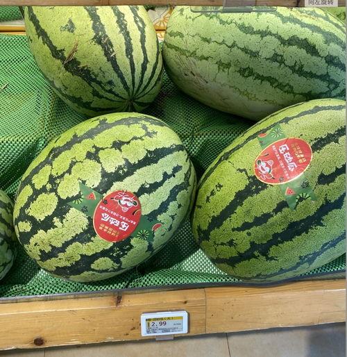 金茂悦重庆吃瓜,一场别开生面的吃瓜盛宴