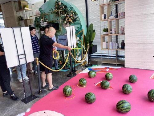 吃瓜节的活动,吃瓜节活动精彩回顾