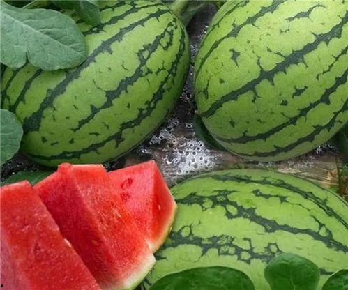 吃大瓜变黑吗,揭秘食物与肤色变化的惊人关系