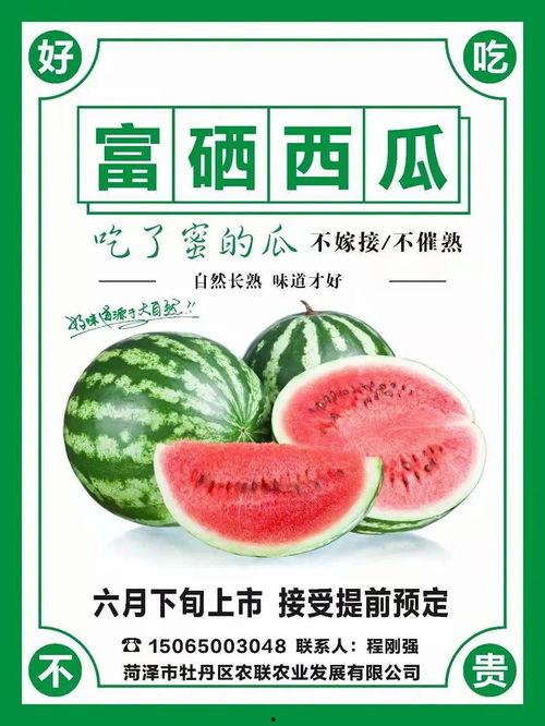 吃瓜卡泡泡,揭秘网络热词背后的趣味与真相