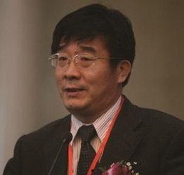 刘伟吃瓜树叶,吃瓜树叶的奇妙之旅