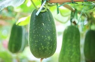 今日吃瓜必吃榜,盘点娱乐圈最新热点事件