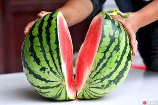 原神老人吃瓜,揭秘游戏圈幕后故事