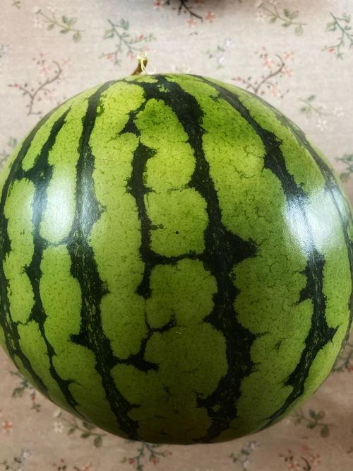 香港表演吃瓜视频,一网打尽表演美食风潮