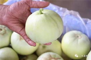 心田三水吃瓜,探寻夏日消暑美食之旅