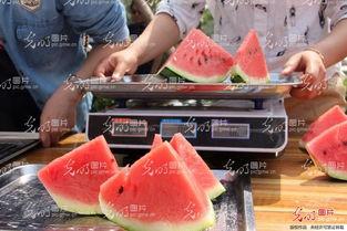 瓜吃瓜选手,揭秘网络热议背后的真相与趣味