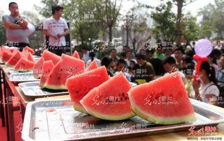 瓜吃瓜选手,揭秘网络热议背后的真相与趣味