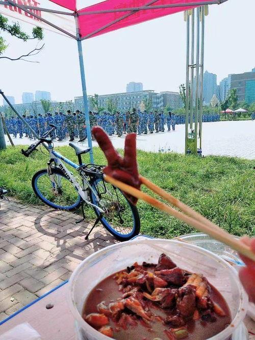 军瓜怎么吃,解锁军瓜美味新境界