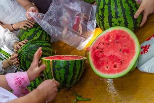 吃瓜视频全部,揭秘娱乐圈幕后故事，带你领略明星真实生活