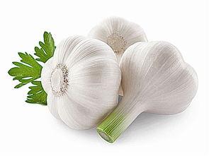 吃白瓜拉稀,探究引发腹泻的神秘因素