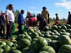 翟镇吃瓜,揭秘娱乐圈背后的那些事儿
