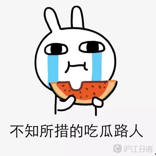 玛丽苏每日吃瓜,每日新鲜吃瓜指南